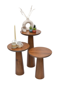  Walnut Mushroom Side Table